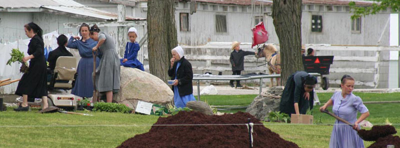 Amish women and mutual aid