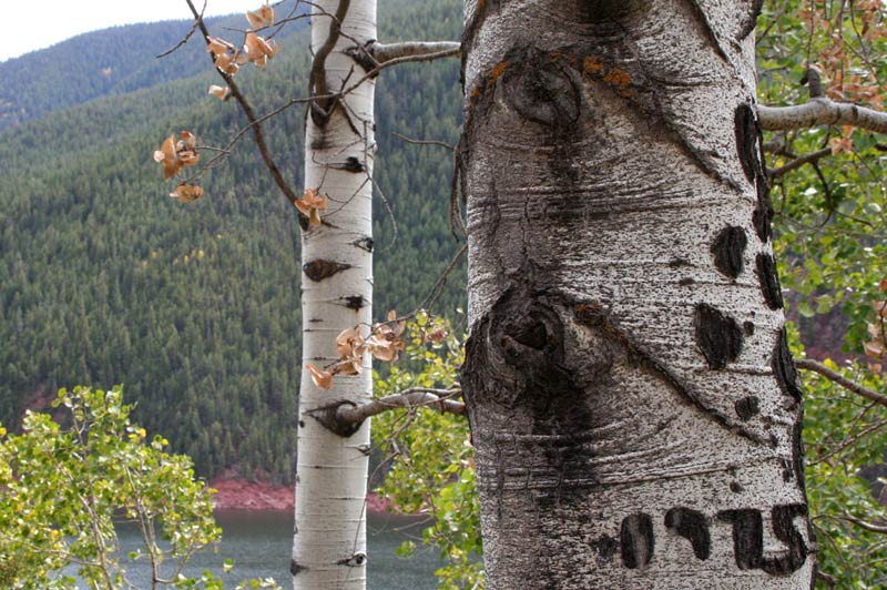 Above Rudi near Basalt, CO.