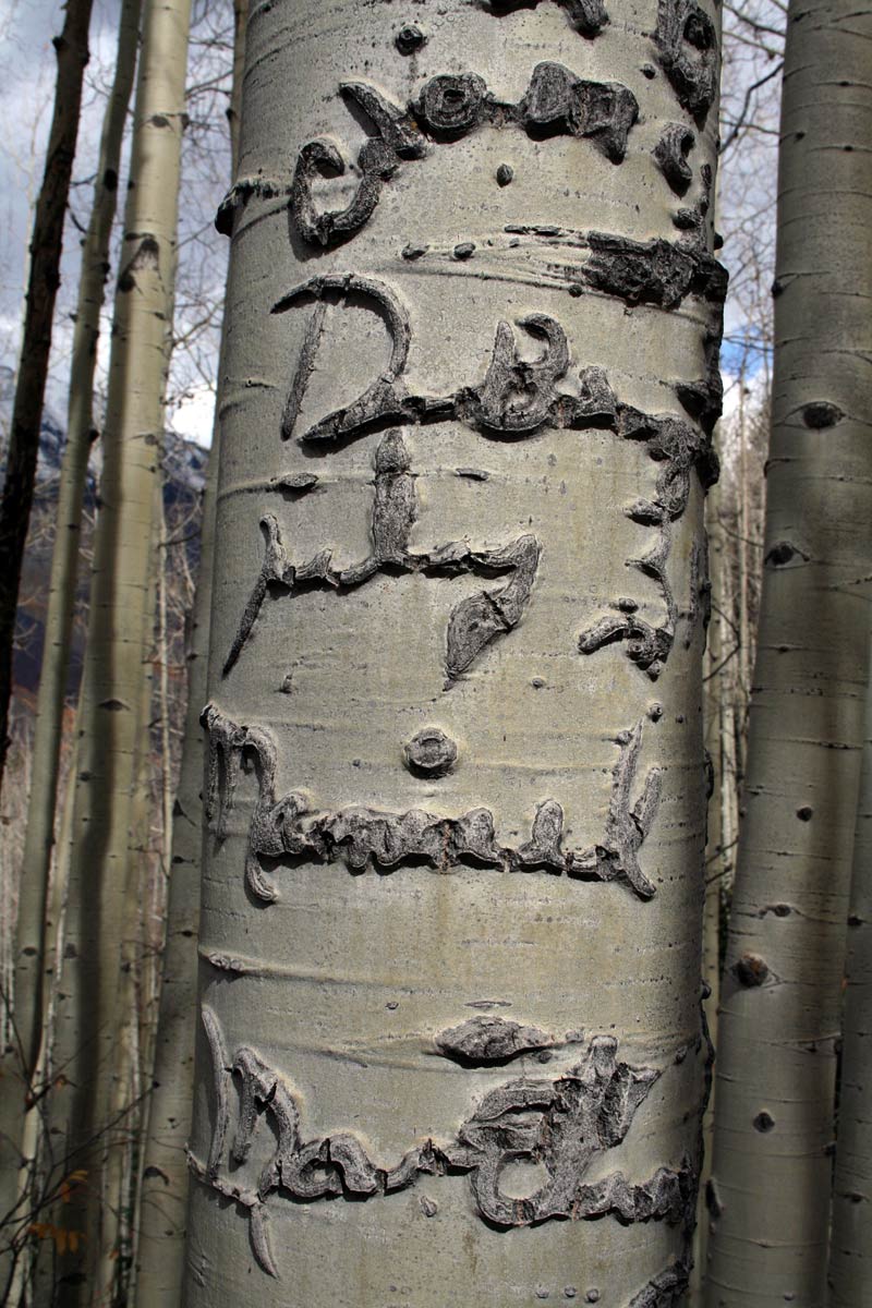 Old signature scars.