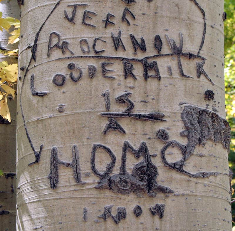 Scarred conversation about homosexual