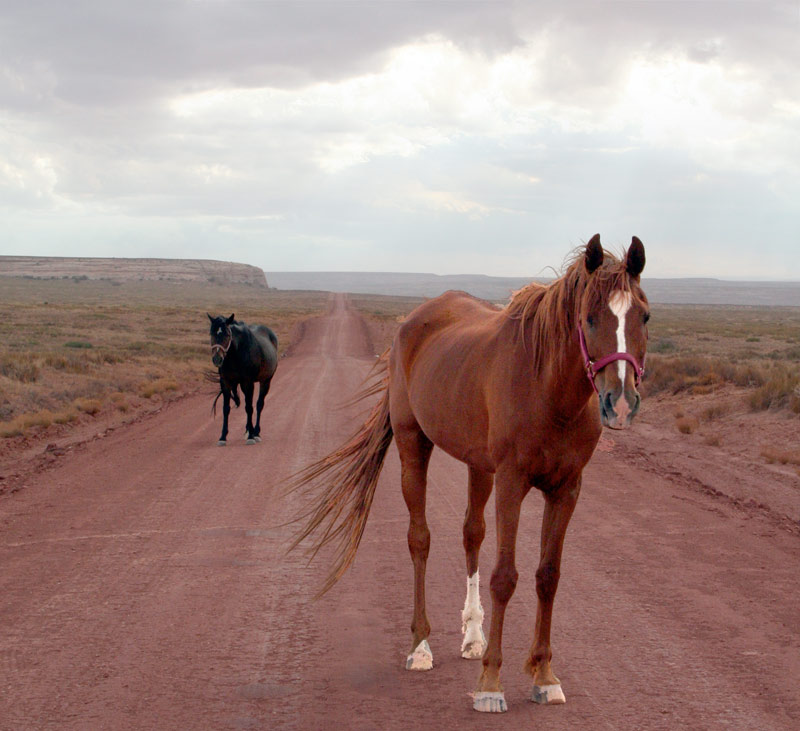 Road to Mineral Bottom, near Moab, UT